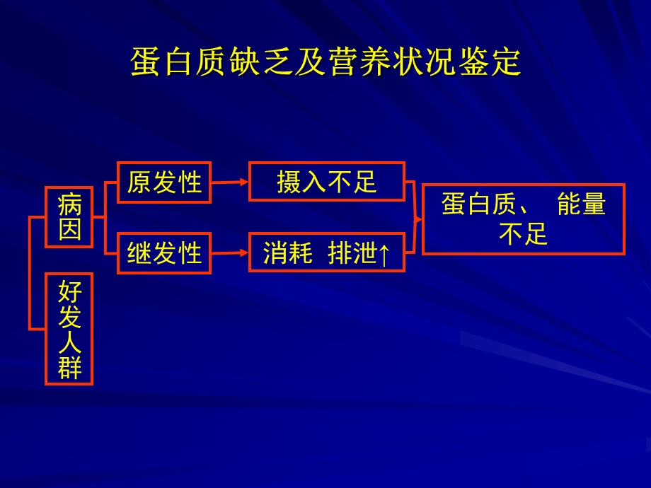 现代食品营养学2 课件.ppt_第2页