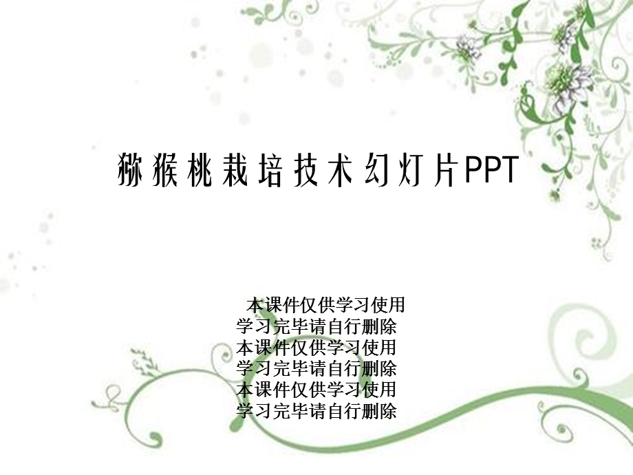 猕猴桃栽培技术幻灯片课件.ppt_第1页