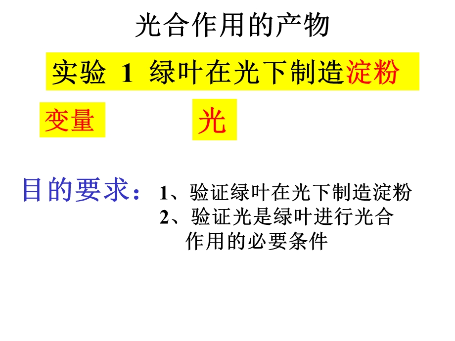 济南版绿色植物的光合作用课件.ppt_第2页