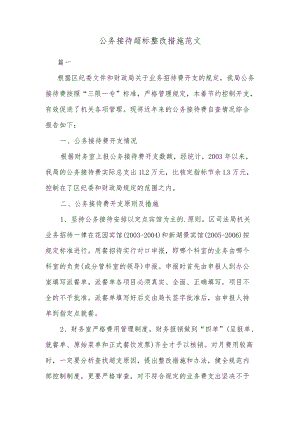 公务接待超标整改措施范文.docx