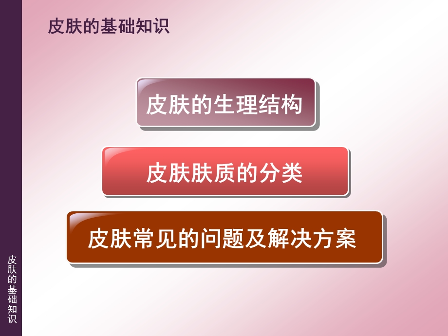 皮肤的基础知识ppt课件.ppt_第1页