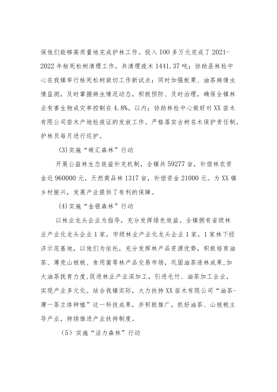 XX镇2022年林业上半年工作总结.docx_第2页