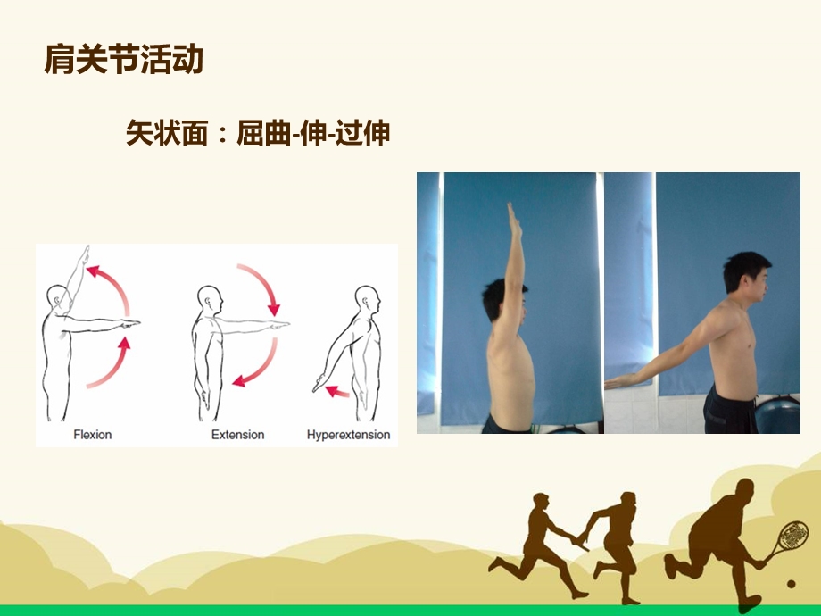 肩关节的运动学课件.ppt_第3页