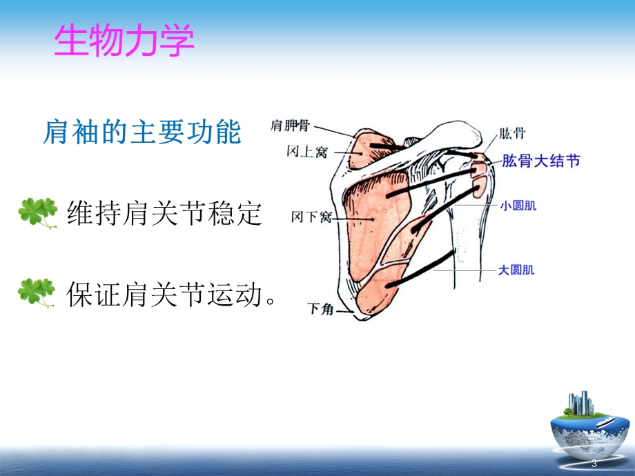 肩袖损伤护理查房课件.ppt_第3页