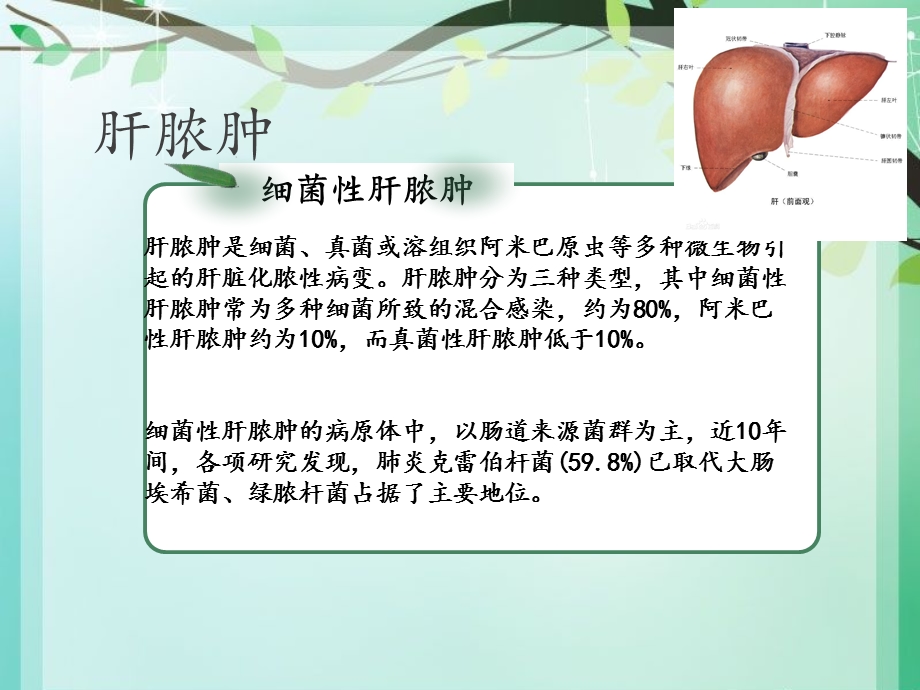 肺炎克雷伯杆菌性肝脓肿课件.ppt_第3页