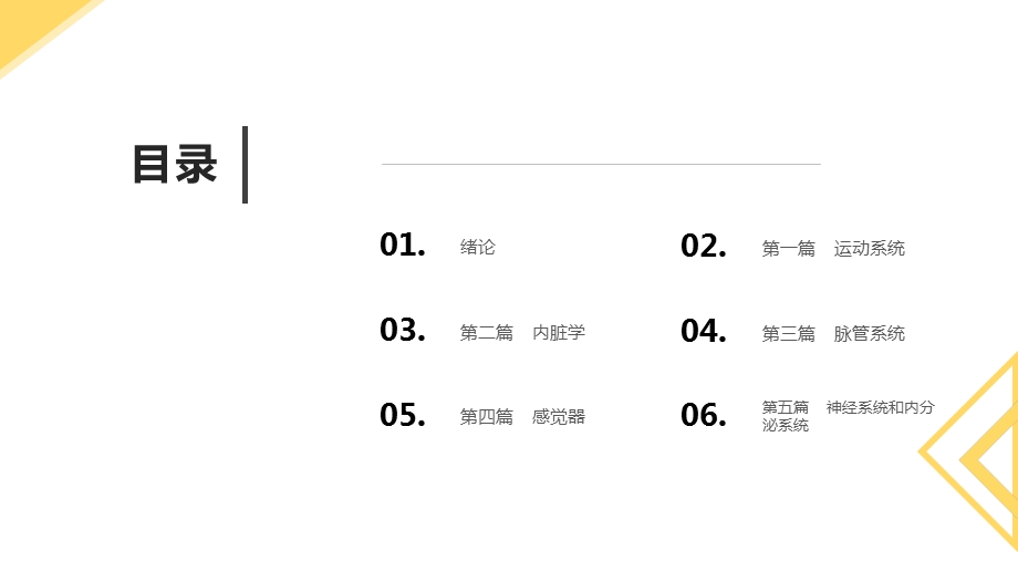 系统解剖学PPT模板课件.pptx_第2页