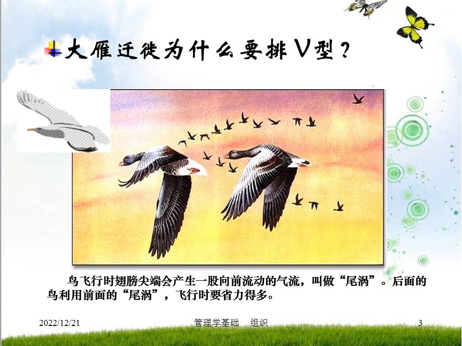 管理学基础 组织课件.ppt_第3页