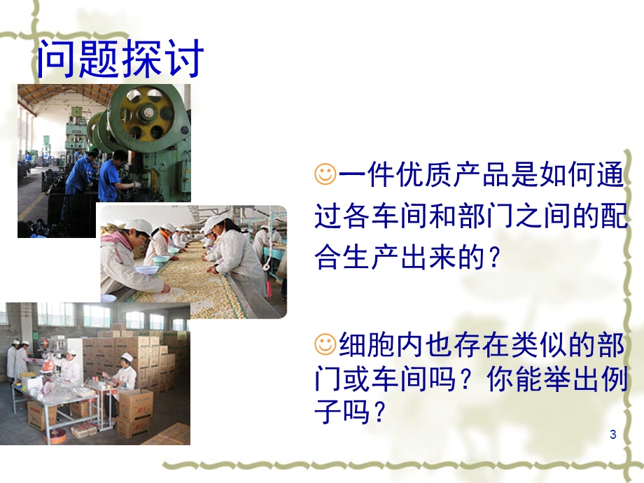 细胞器 公开课 讲课课件.ppt_第3页