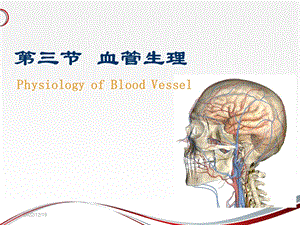 生理学：第三节血管生理课件.ppt