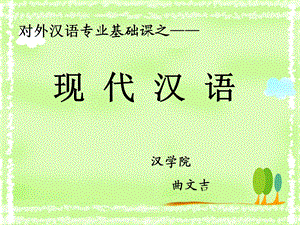 现代汉语(2) 语音(音节)课件.ppt