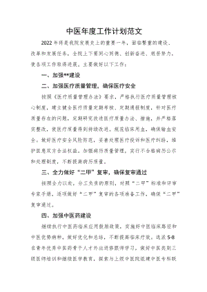 中医年度工作计划范文.docx