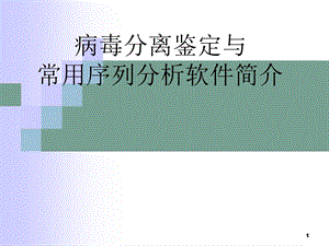 病毒的分离鉴定课件.ppt