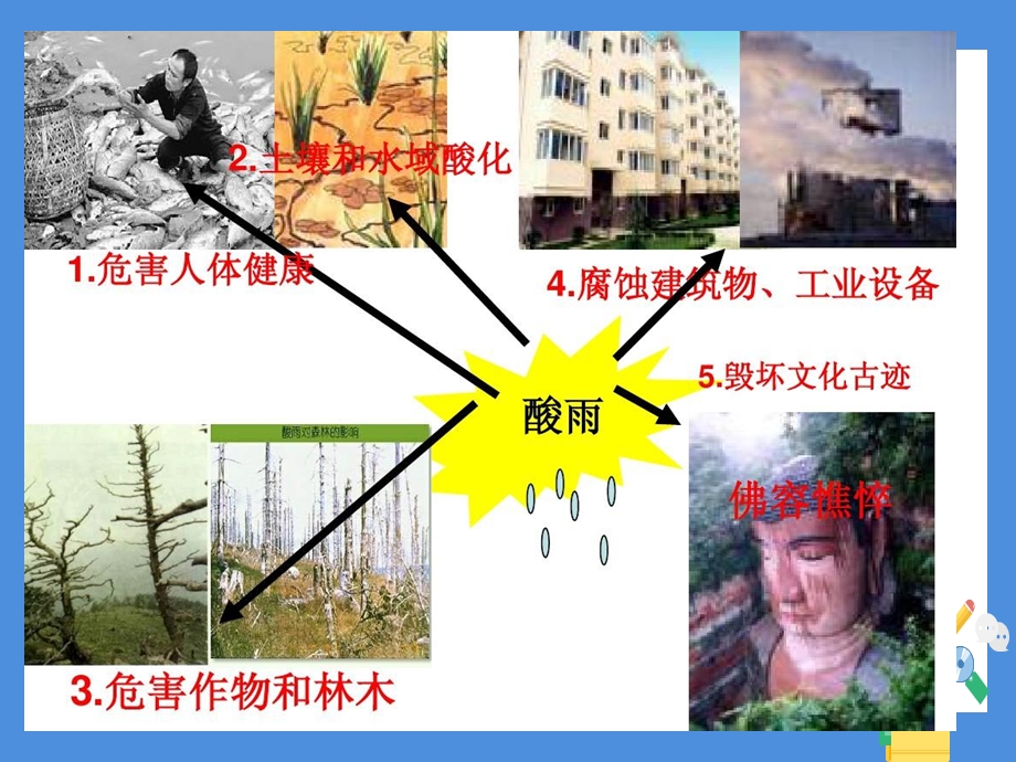 生活中的酸和碱课件.ppt_第2页