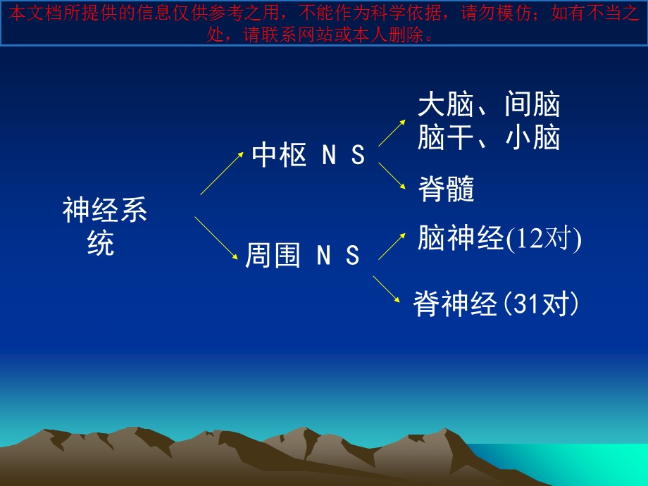 神经系统解剖生理培训ppt课件.ppt_第1页