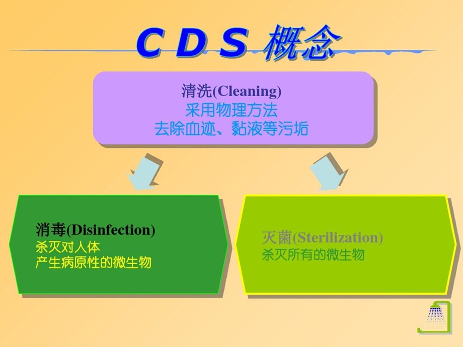 胃肠内镜的清洗消毒与保养课件.ppt_第2页