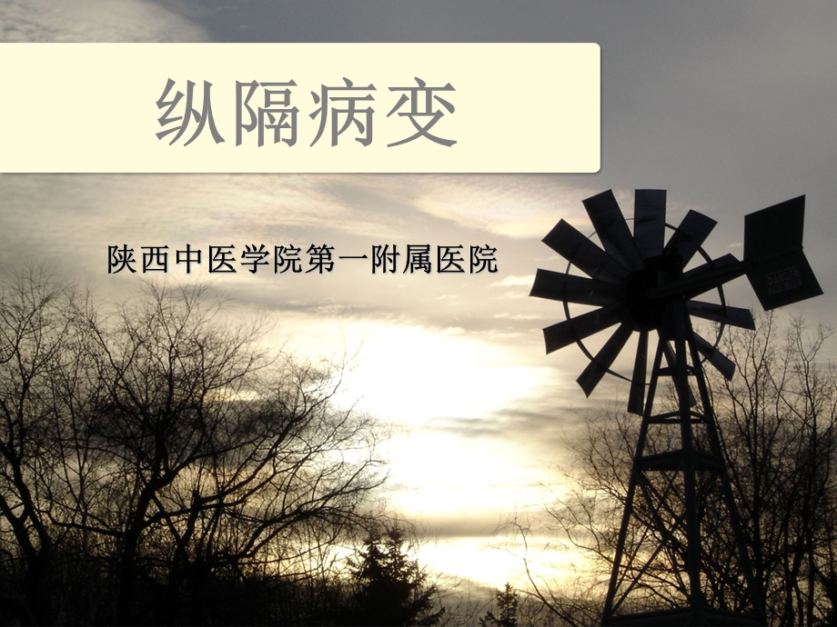 纵隔病变课件.ppt_第1页