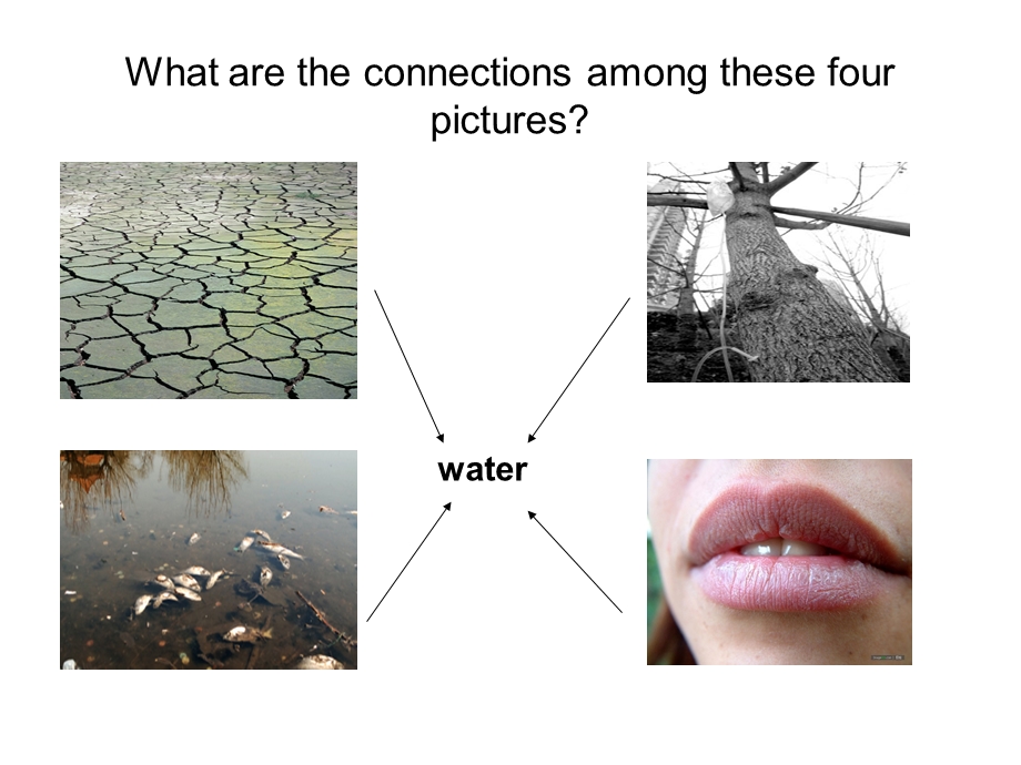 牛津深圳版七年级英语下Module 3 Natural elements Unit 5 waterreading公开课教学ppt课件.ppt_第2页