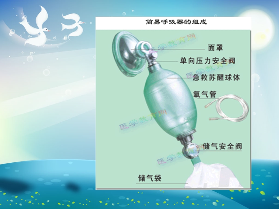 简易复苏囊的使用ppt课件.ppt_第3页