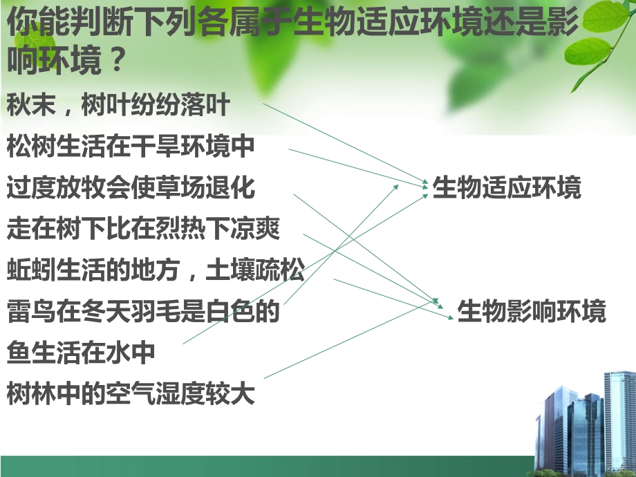 第一节生态系统的组成和类型课件.ppt_第3页