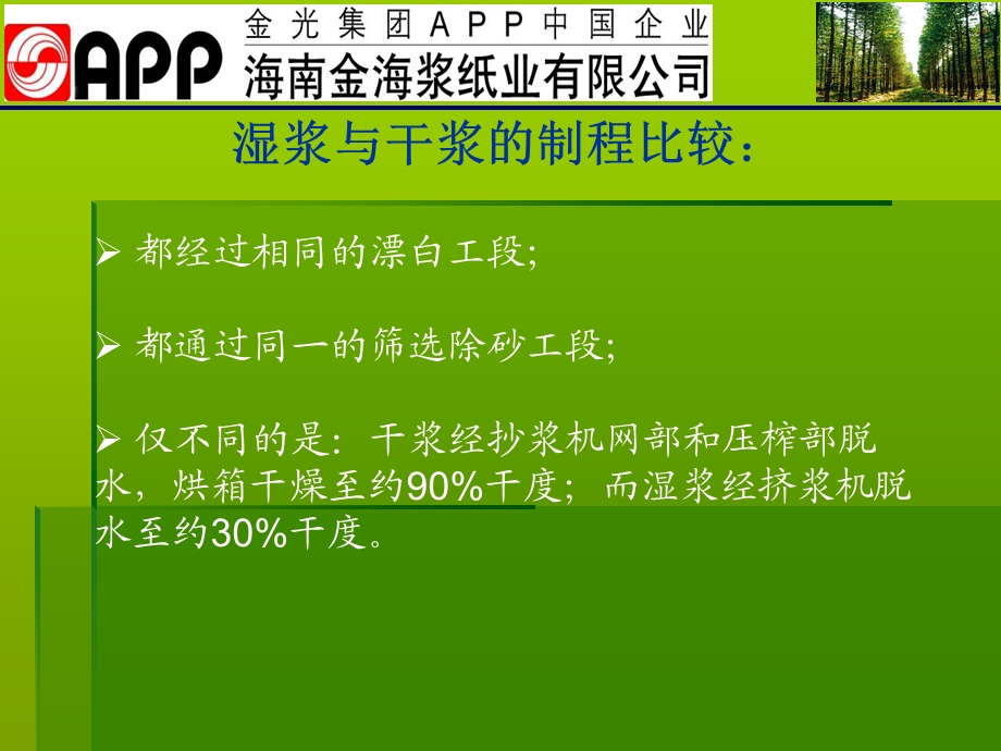 湿浆与干浆的性能对比报告课件.ppt_第3页