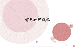 臂丛神经成像ppt课件.ppt