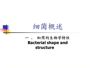 细菌的形态与结构9 课件.ppt