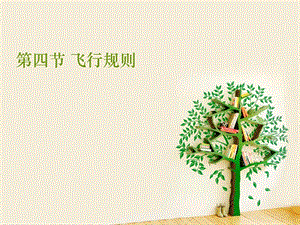 第四节飞行规则课件.ppt