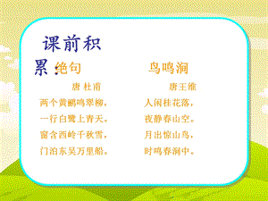 苏教版二年级语文下册《鸟岛》ppt课件.ppt