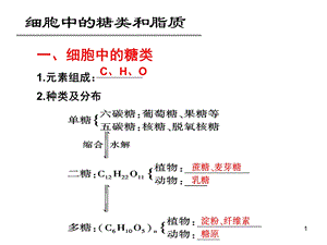 生物第一轮复习必修一细胞中的糖类和脂质课件.ppt