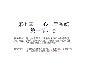 第七章心血管系统 课件.ppt