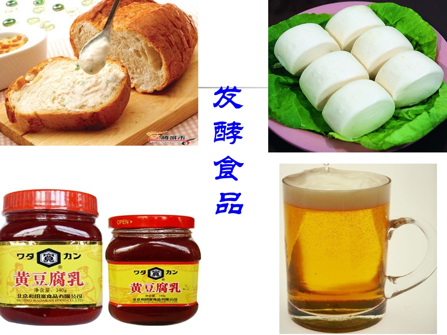 第一节发酵食品的制作课件.ppt_第2页