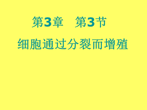 细胞分裂和细胞分化形成组织 动物的组织 课件.ppt