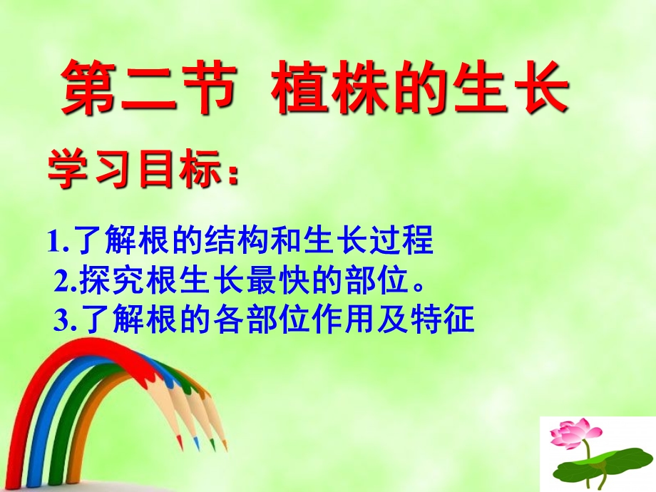 生物幼根的生长课件.ppt_第3页