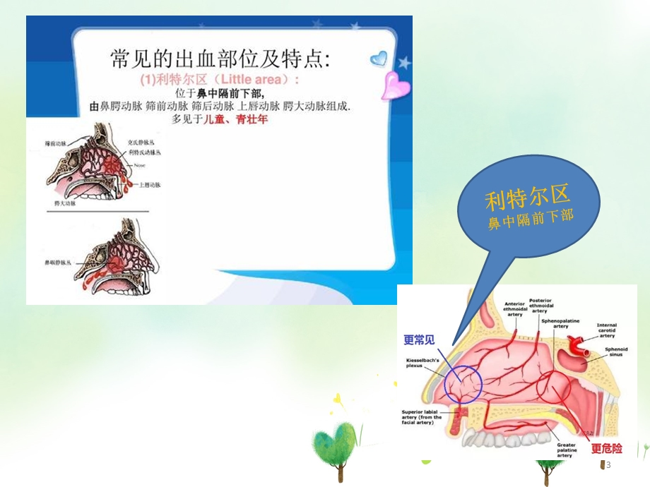 生活中常用急救知识课件.ppt_第3页