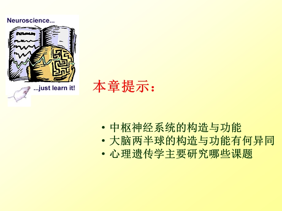 第二章 心理的生理基础 课件.ppt_第2页