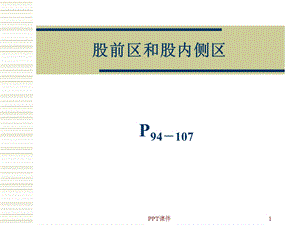 股前区和股内侧区的局部解剖课件.ppt