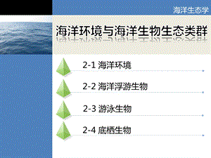 海洋生态学第二课海洋环境与海洋生物生态类群课件.pptx