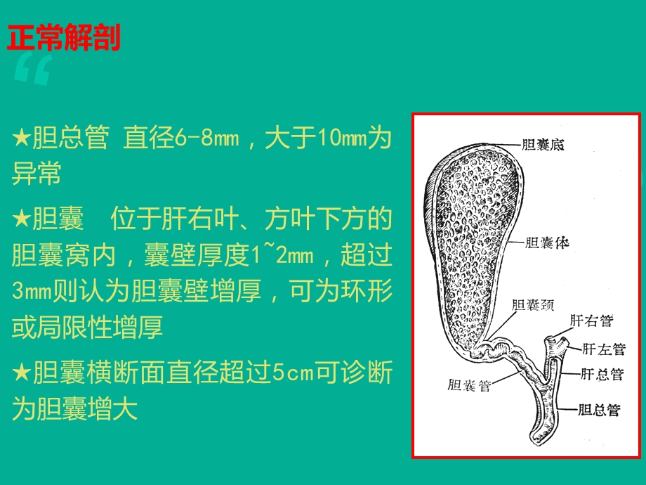 胆囊癌治疗和护理课件.ppt_第2页