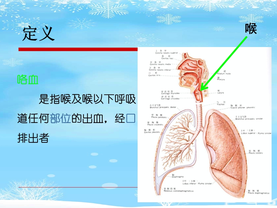 肺结核大咯血的抢救及护理措施推荐课件.ppt_第2页