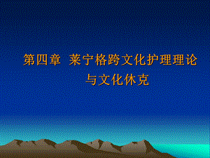 第四章跨文化护理理论与文化休克课件.ppt