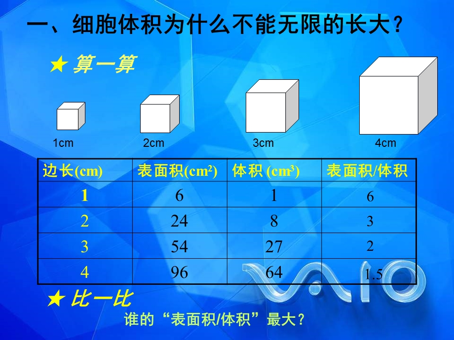 细胞的分裂课件.ppt_第3页