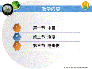 环境与理化因素损伤课件.ppt