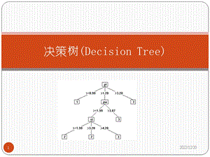 决策树很详细的算法介绍课件.ppt