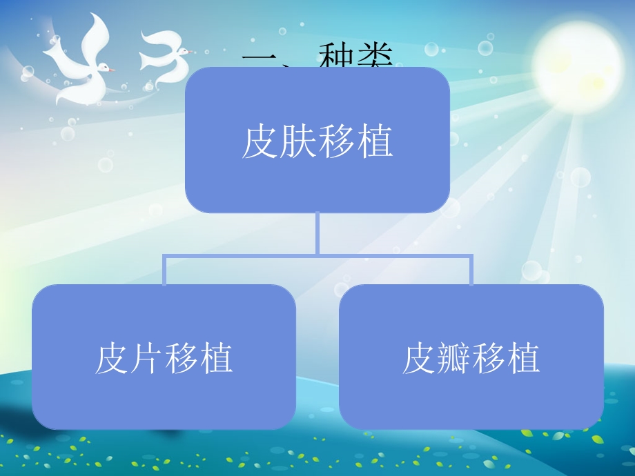 皮肤移植讲课ppt课件.ppt_第1页