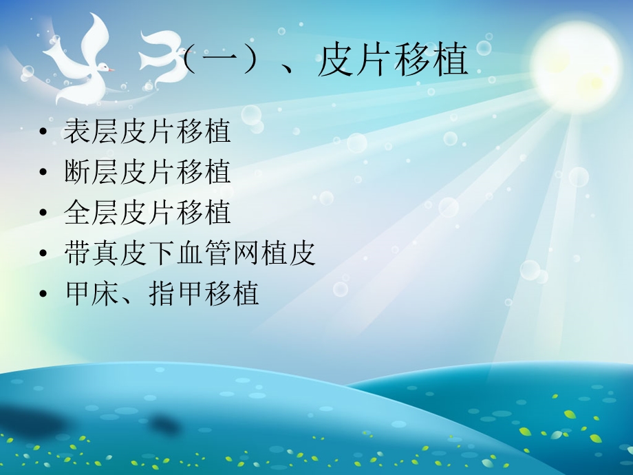 皮肤移植讲课ppt课件.ppt_第2页