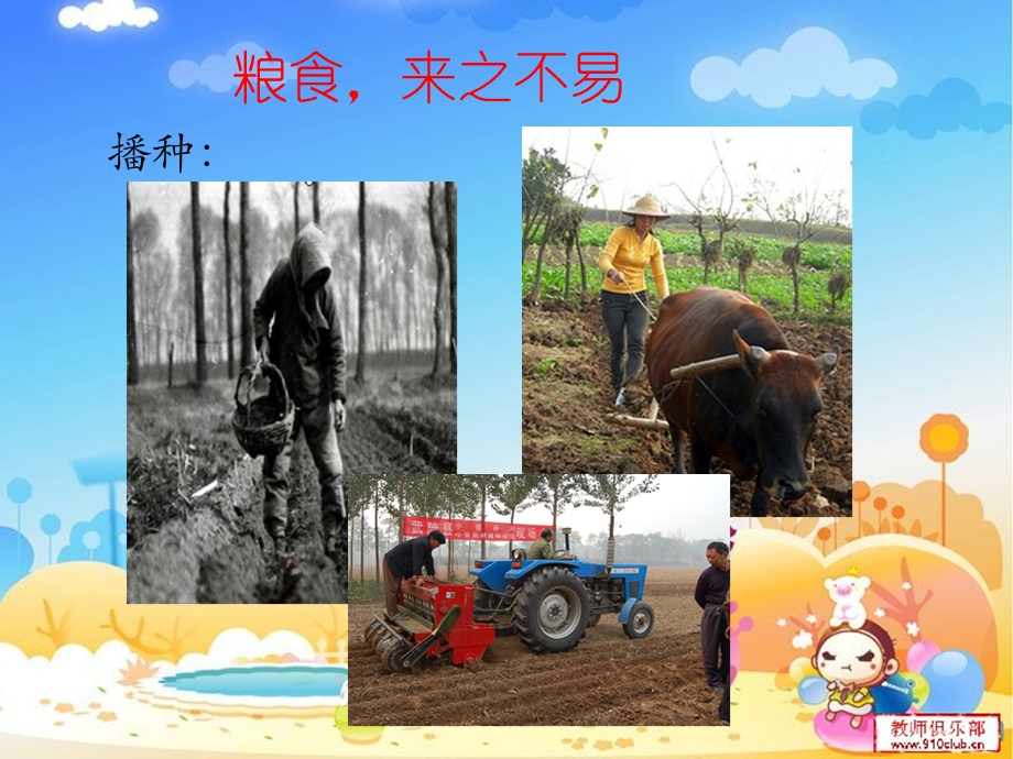 节约粮食.课件.ppt_第3页