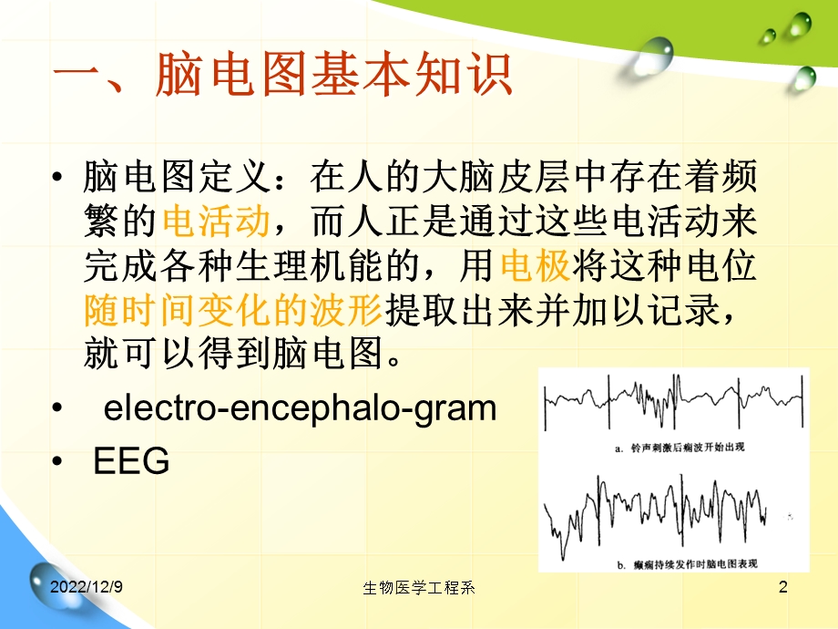 脑电测量原理 课件.ppt_第2页