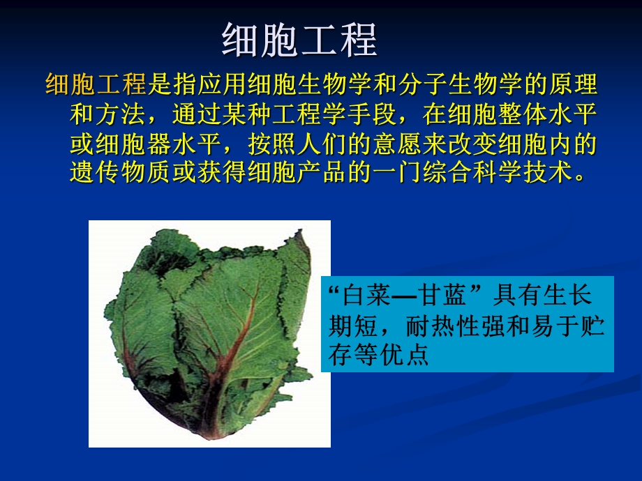 生物工程工程技术 3 课件.ppt_第2页