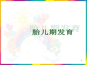 胎儿期发育课件.ppt