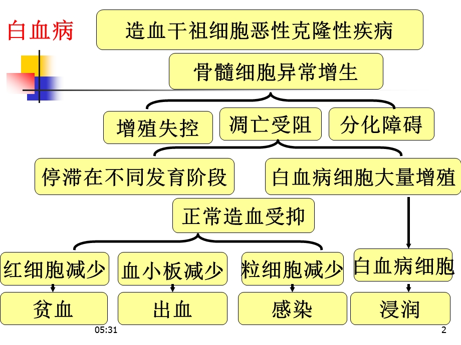 白血病概述及急性白血病课件.ppt_第2页